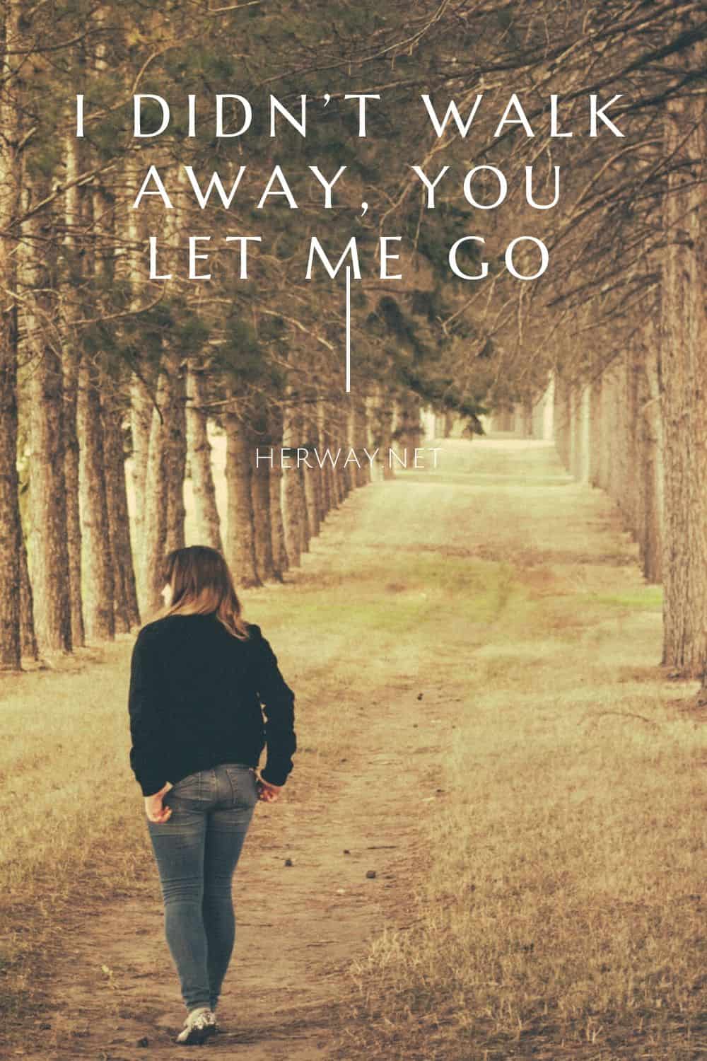 I Didn't Walk Away, You Let Me Go