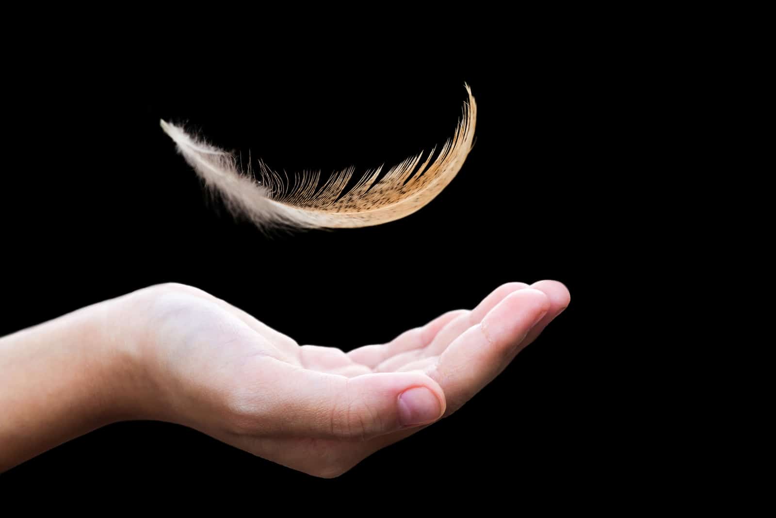 a child's hand on which orange feathers fall