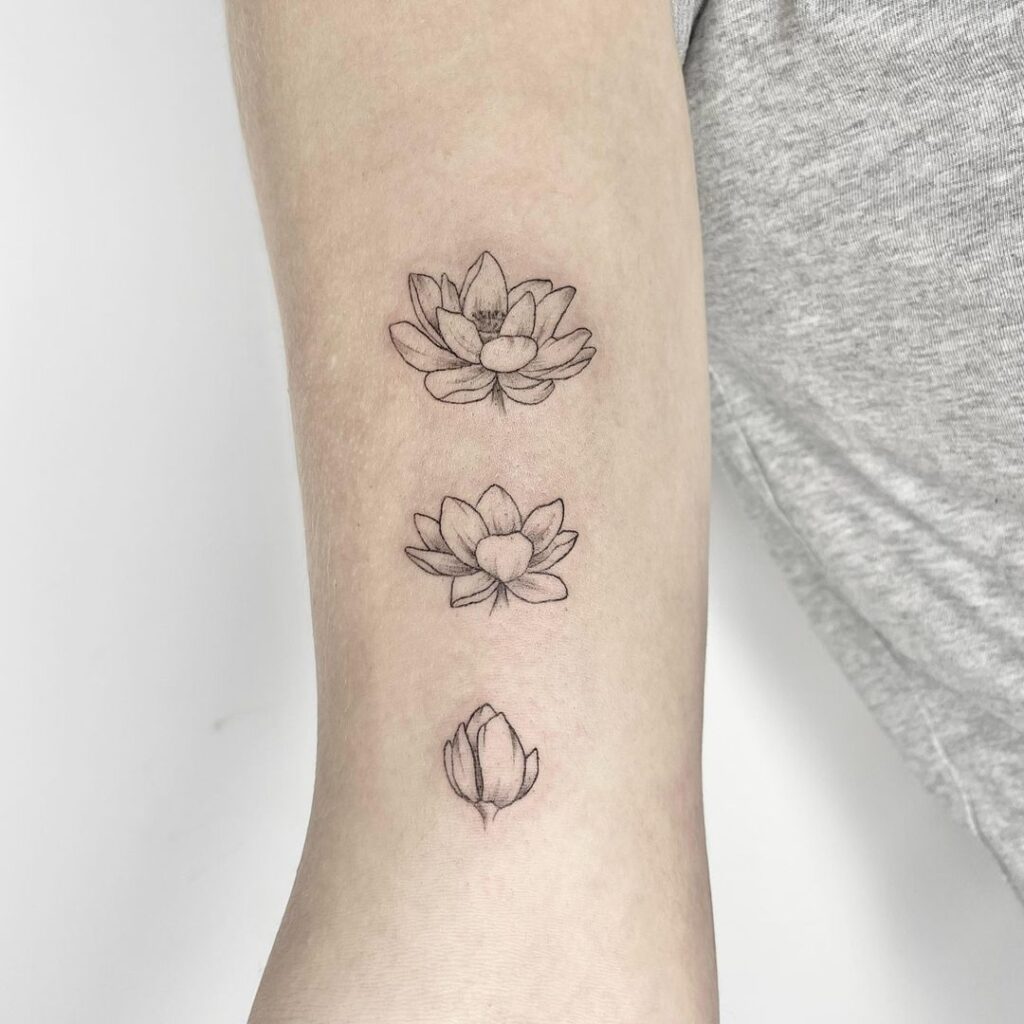 Daily Cycle of Lotus Flower Ink