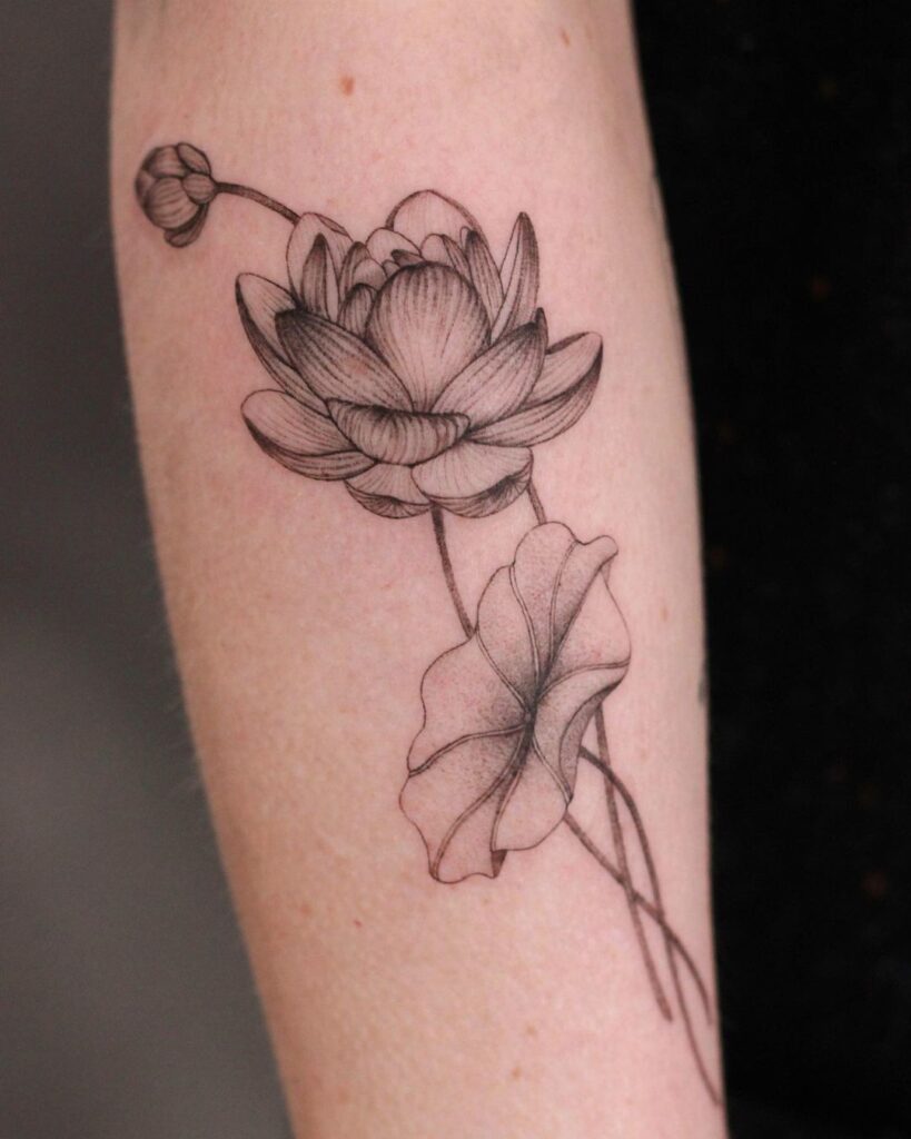 Graceful Fine-Line Lotus Flower Ink
