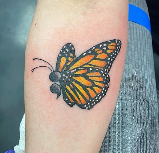 Monarch butterfly