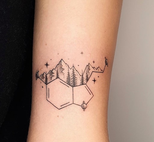 Serotonin and nature