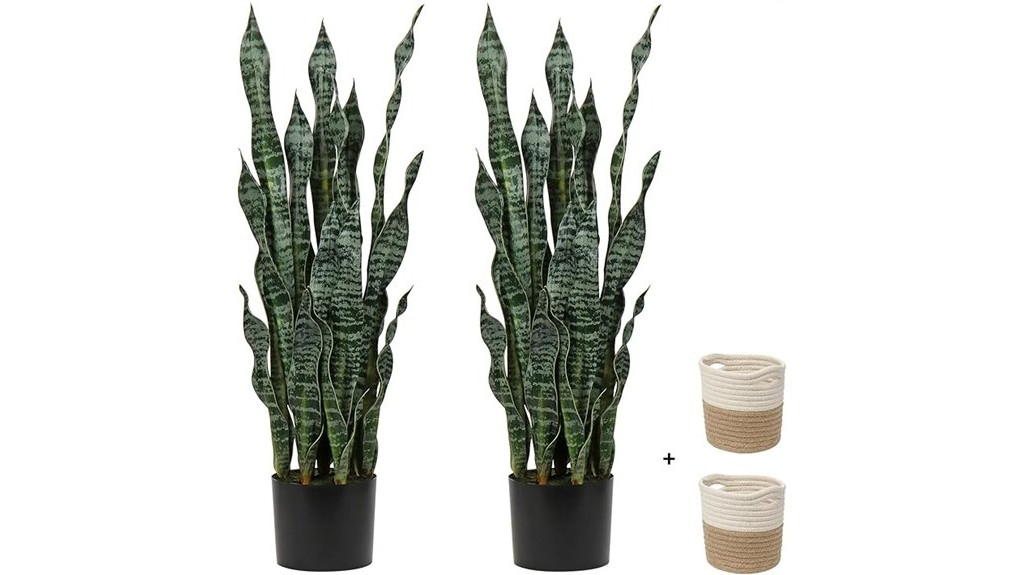 large faux snake plant basket